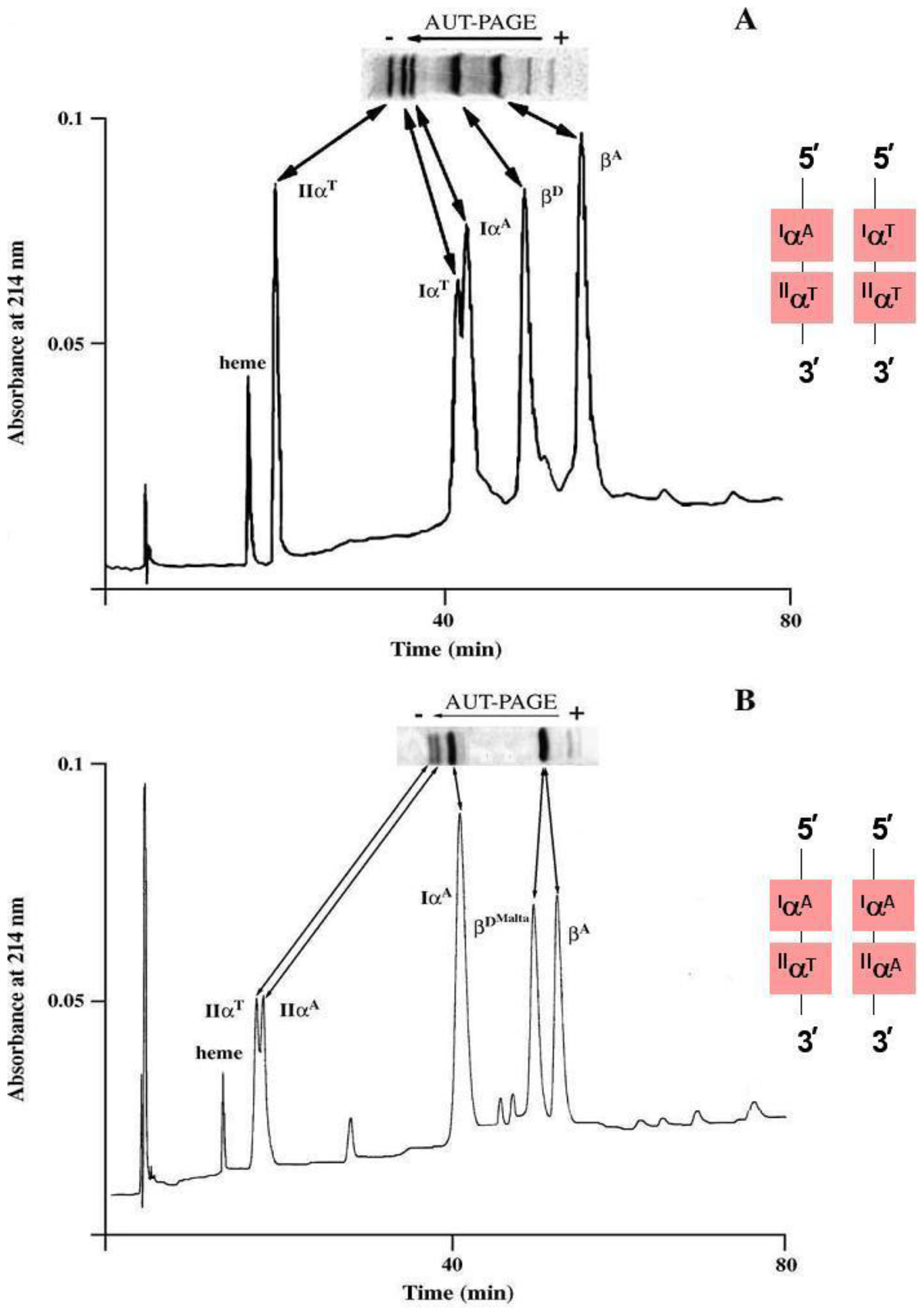 Diversity 02 00679 g005