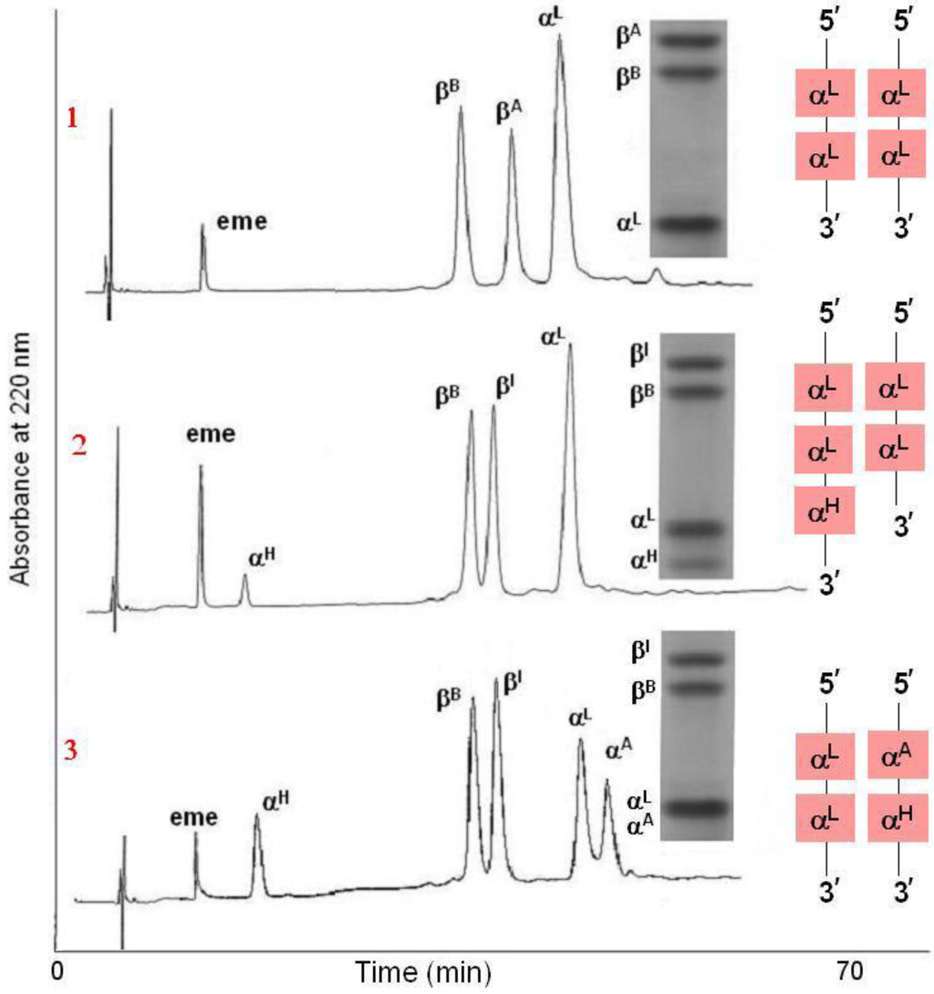 Diversity 02 00679 g006 1024