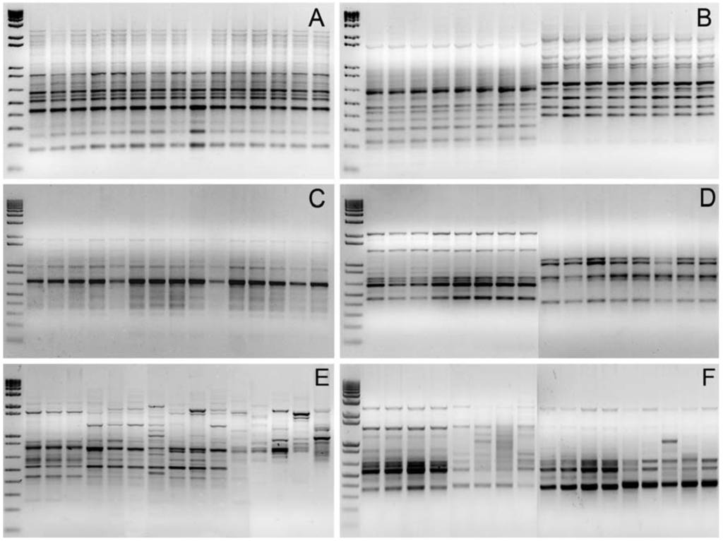 Diversity 02 00810 g001 1024