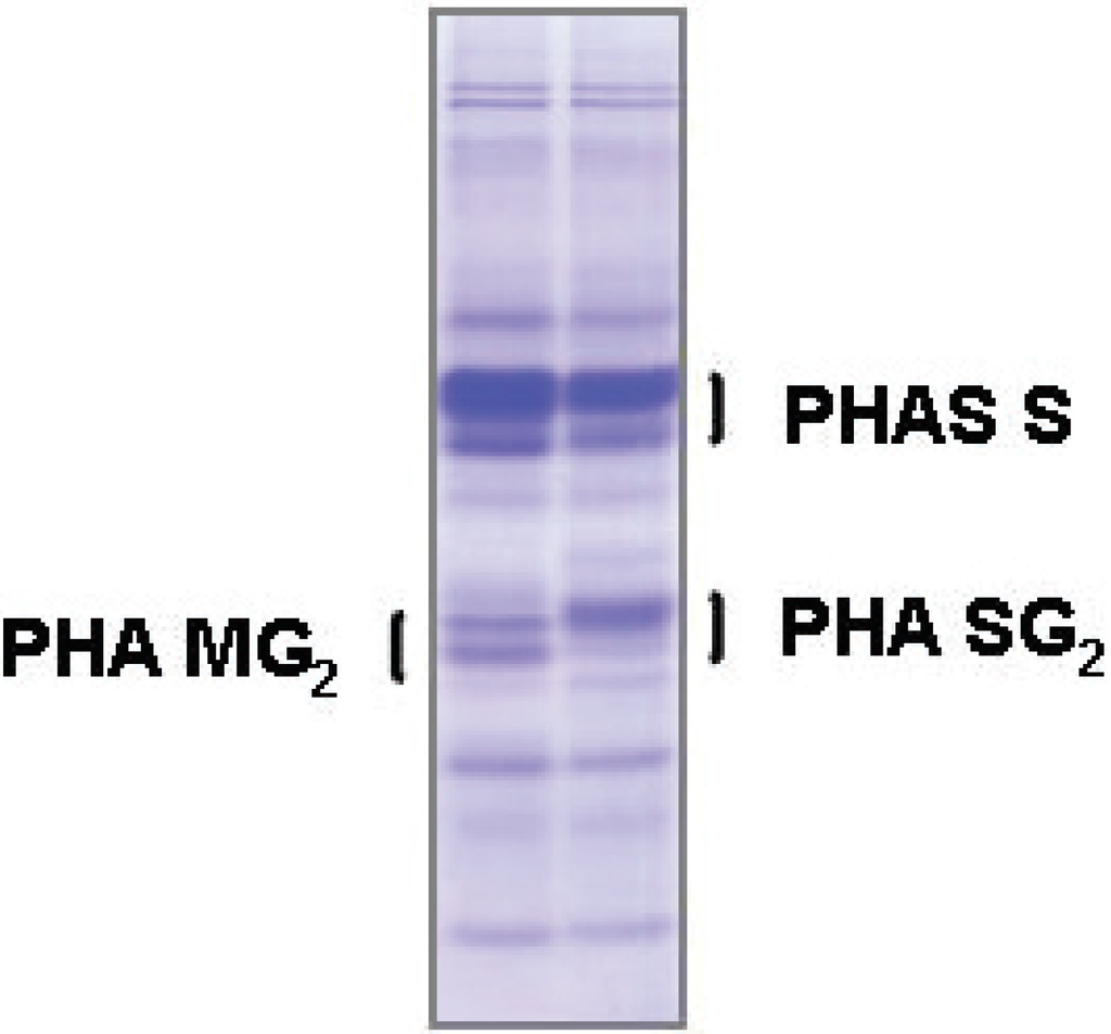 Diversity 02 00837 g003 1024