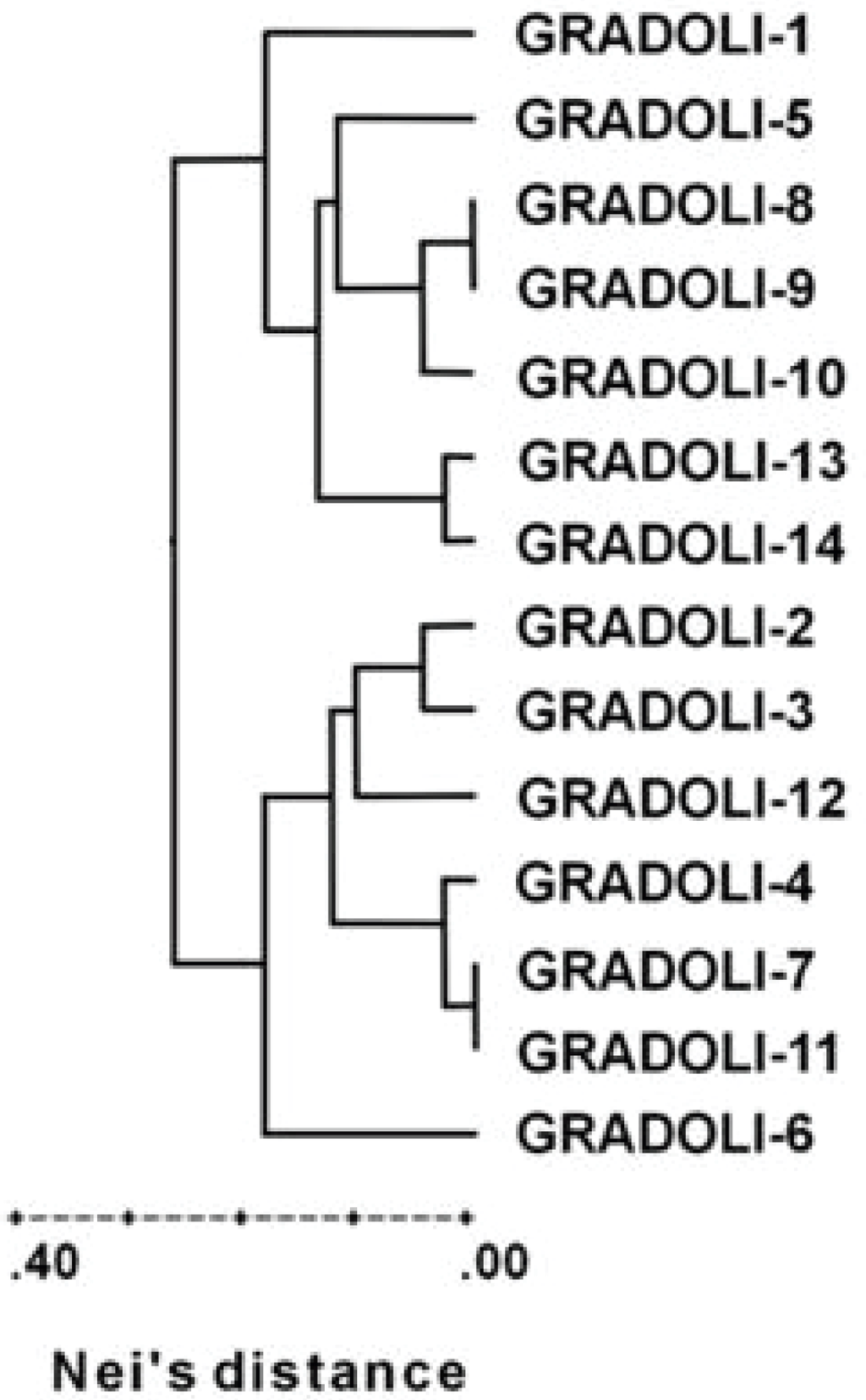 Diversity 02 00837 g004 1024