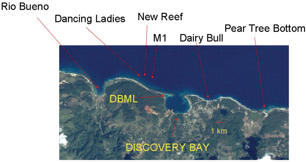 Diversity 02 00881 g001 1024