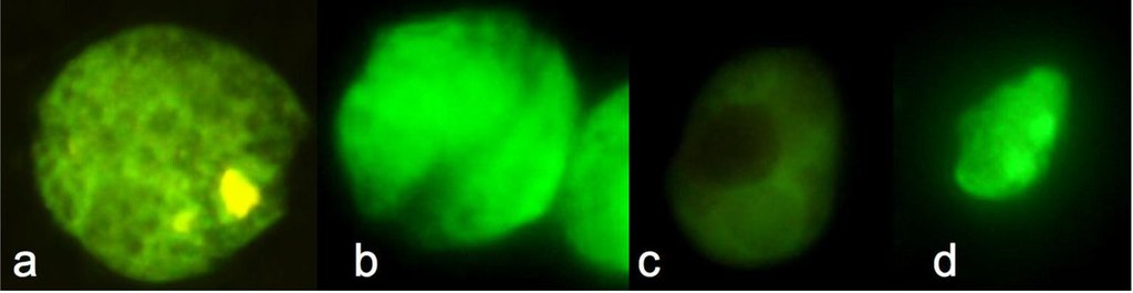 Diversity 02 00973 g002 1024