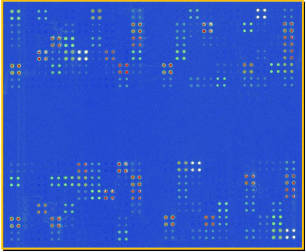 Diversity 02 00973 g003 1024