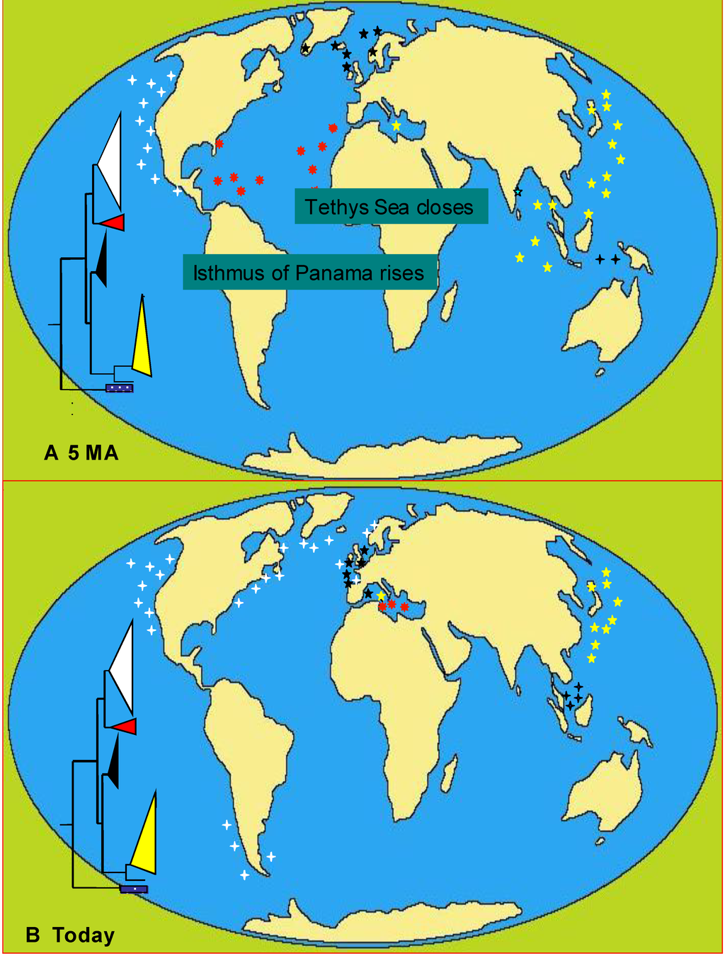 Diversity 02 00973 g005 1024