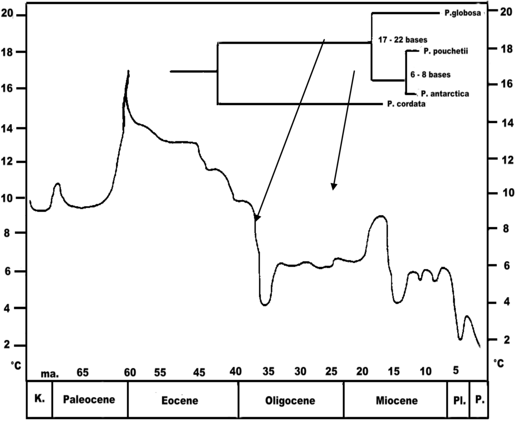 Diversity 02 00973 g006 1024