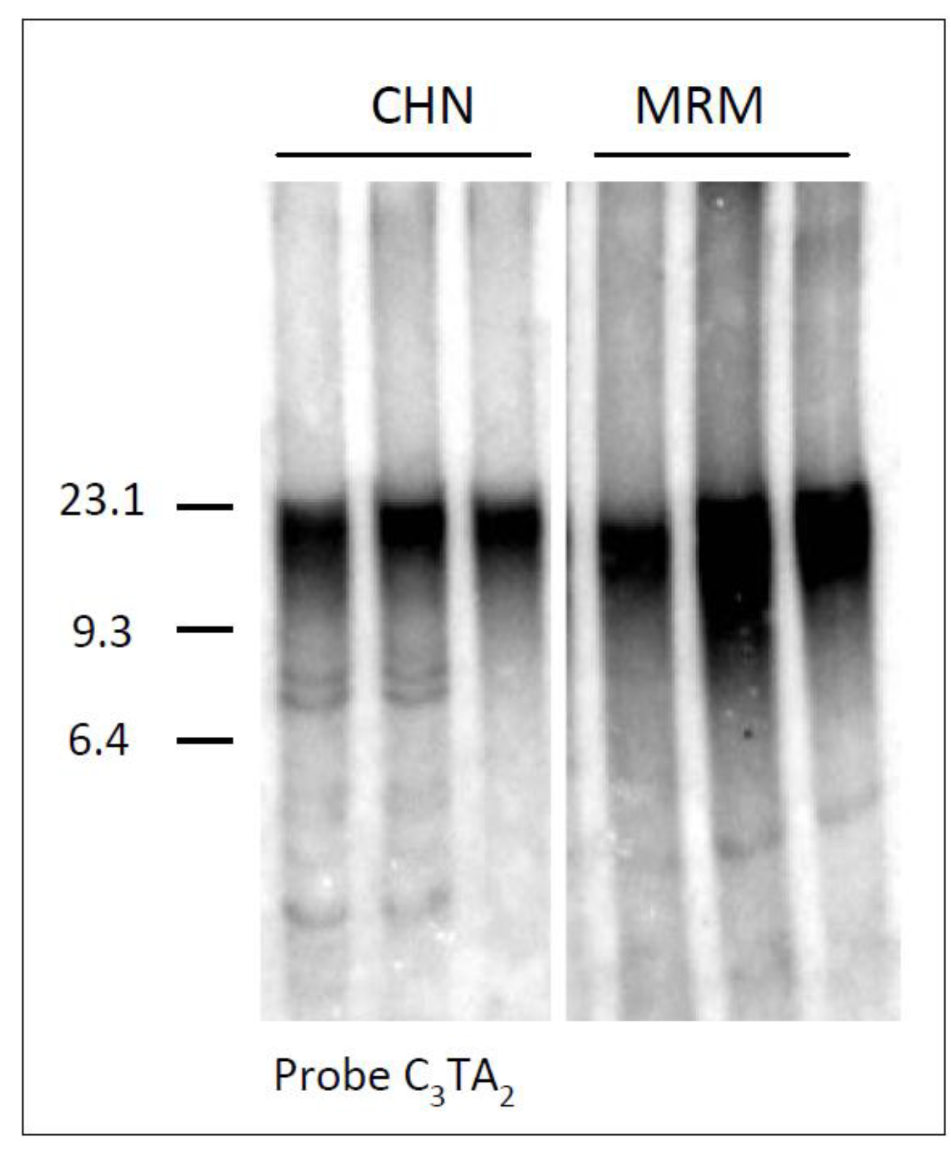 Diversity 02 01118 g001