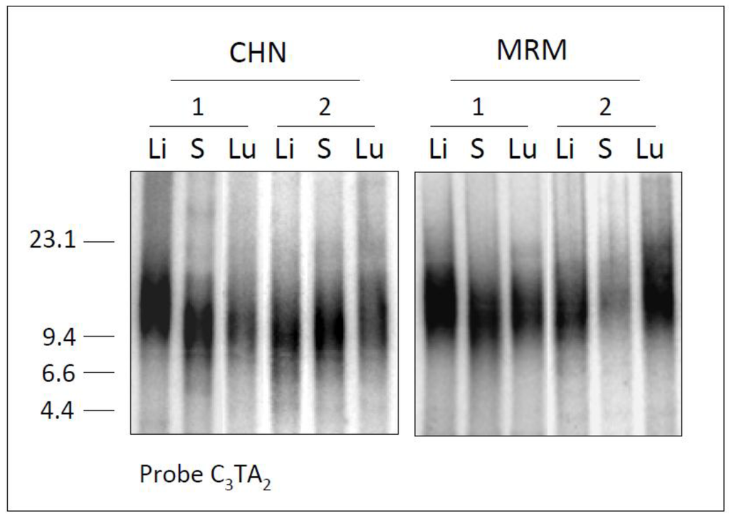 Diversity 02 01118 g002 1024