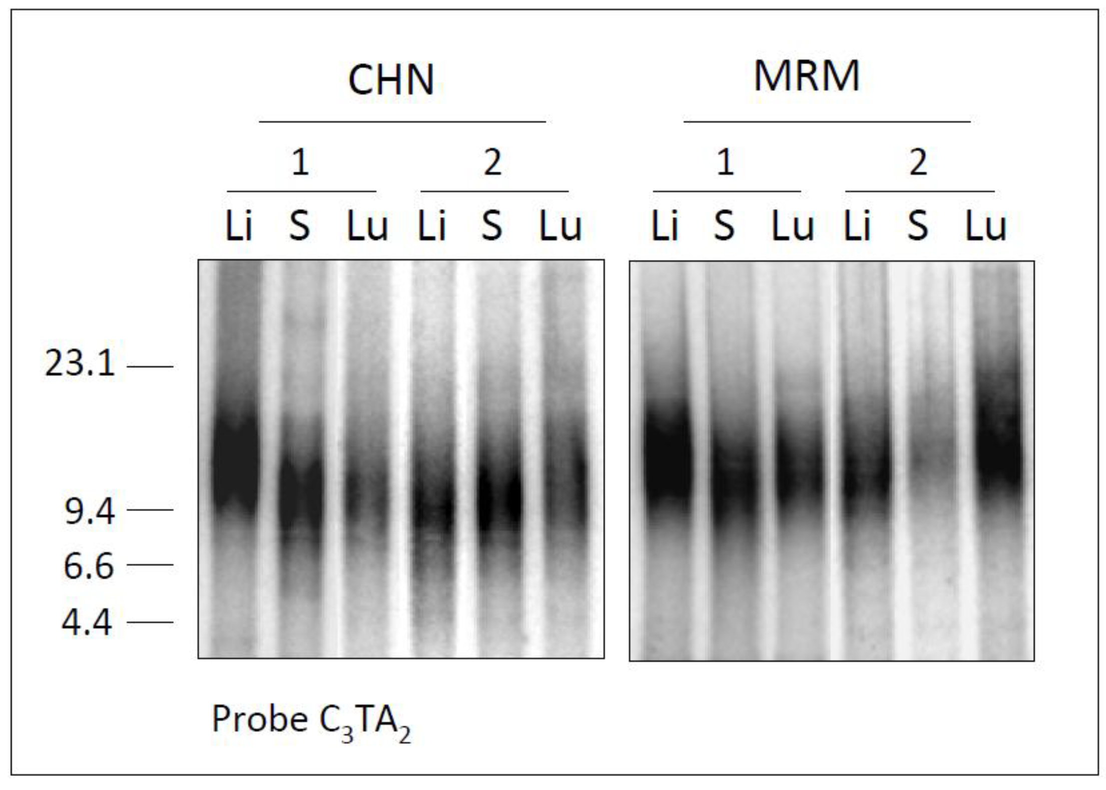 Diversity 02 01118 g002