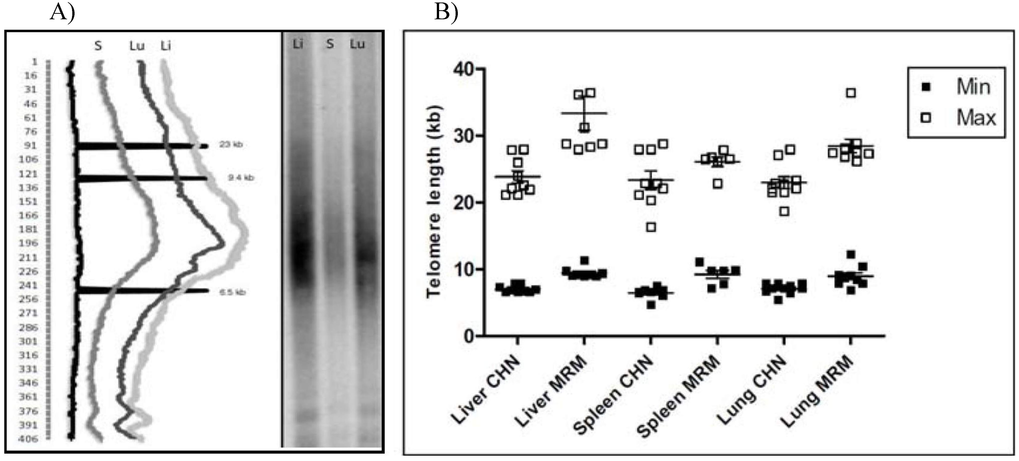Diversity 02 01118 g003