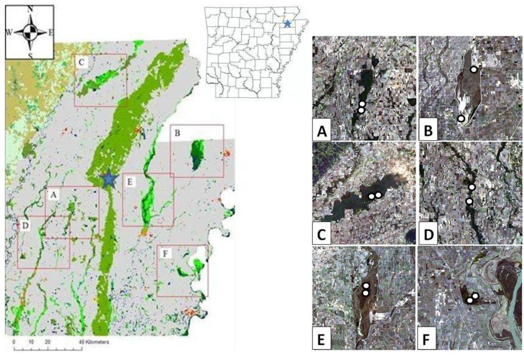 Diversity 02 01146 g001 1024