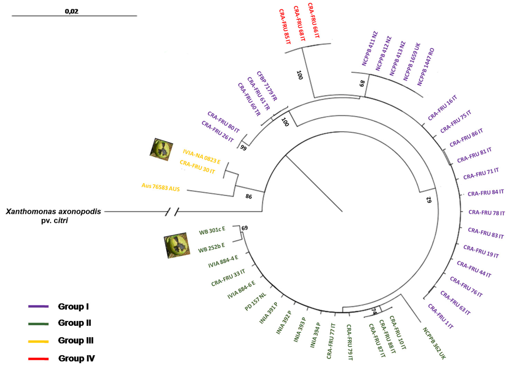 Diversity 02 01205 g003 1024