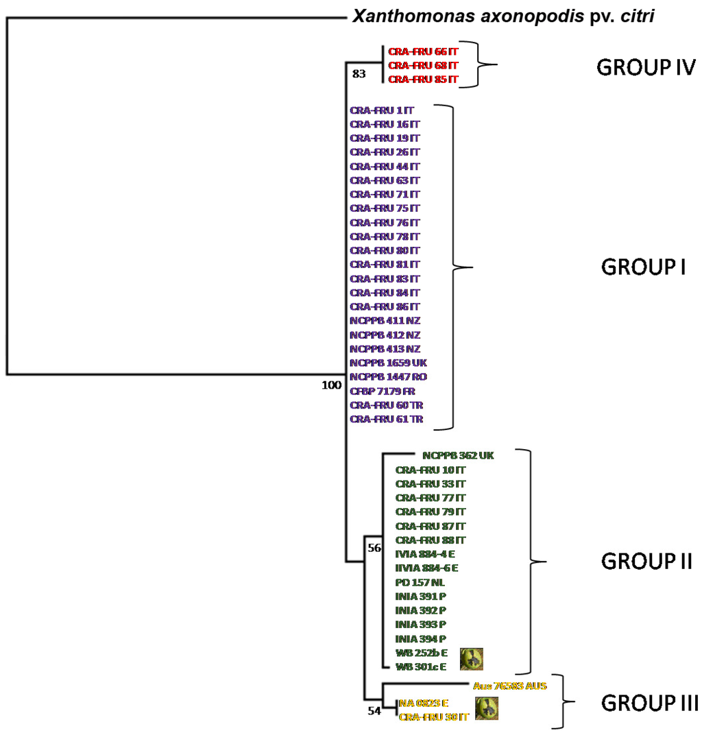 Diversity 02 01205 g004 1024