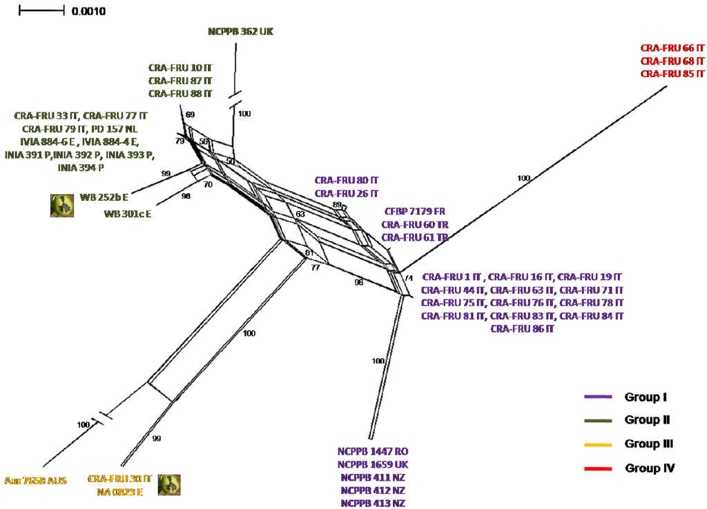Diversity 02 01205 g005 1024