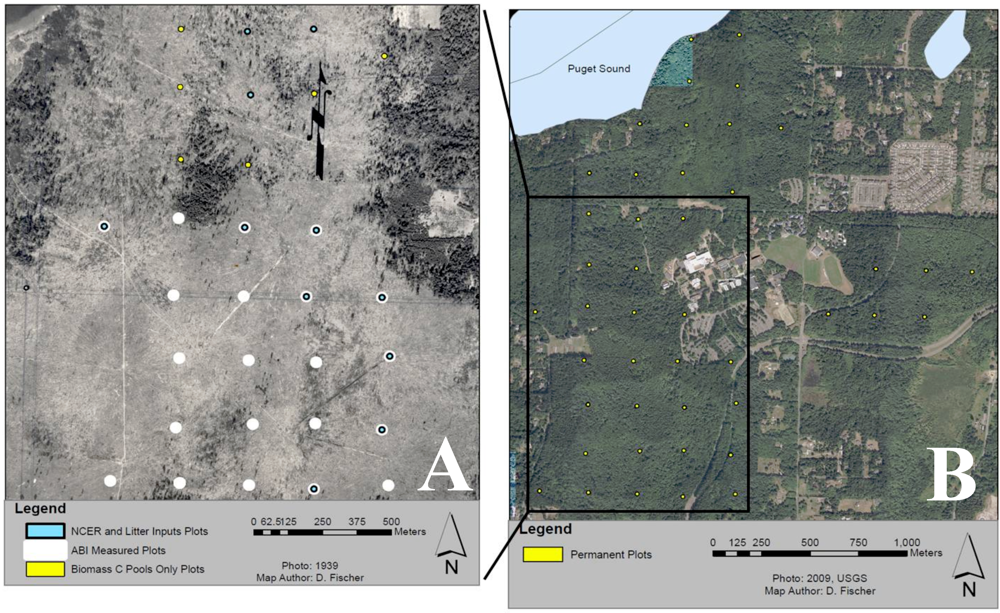 Diversity 04 00033 g001 1024