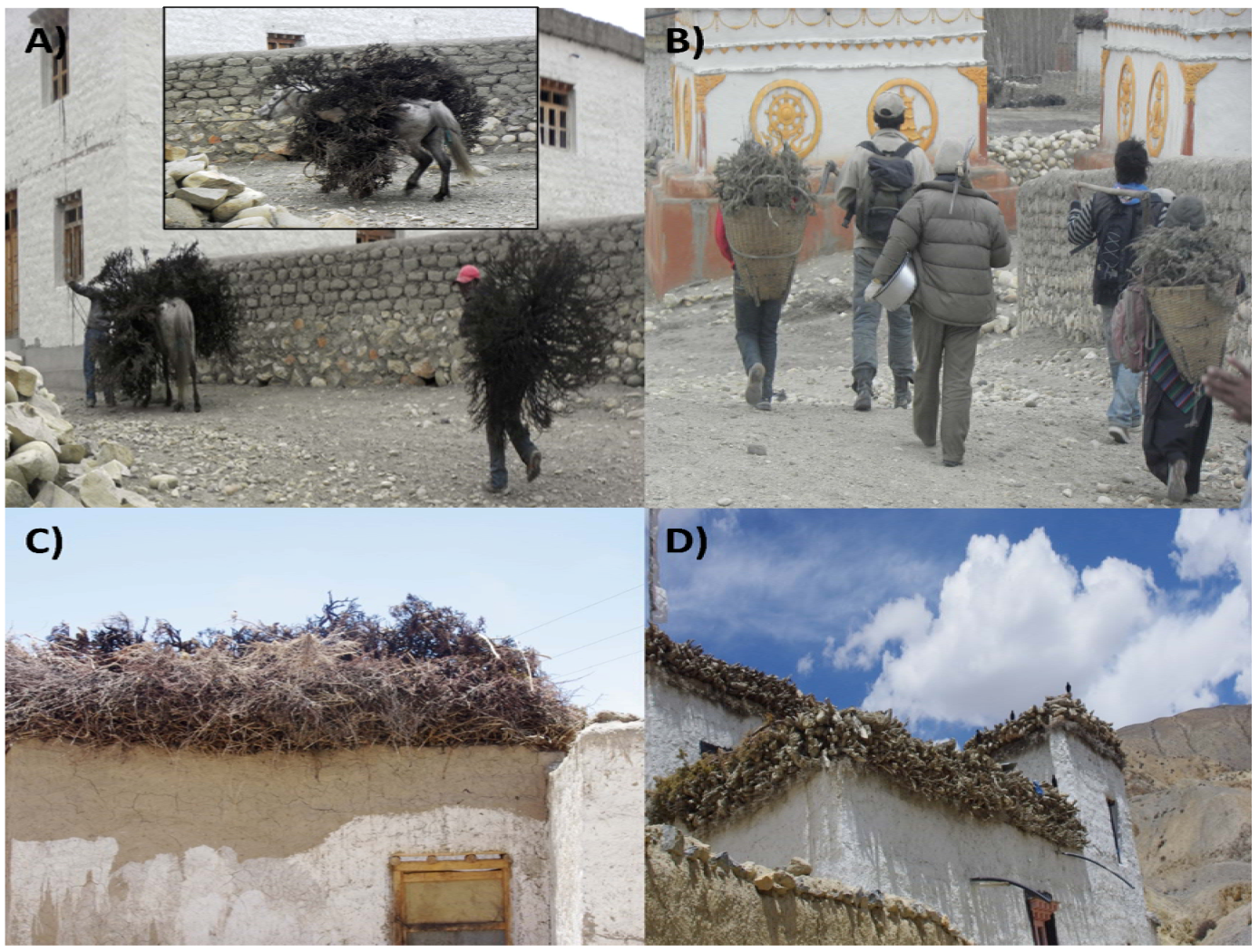 Diversity 04 00301 g006