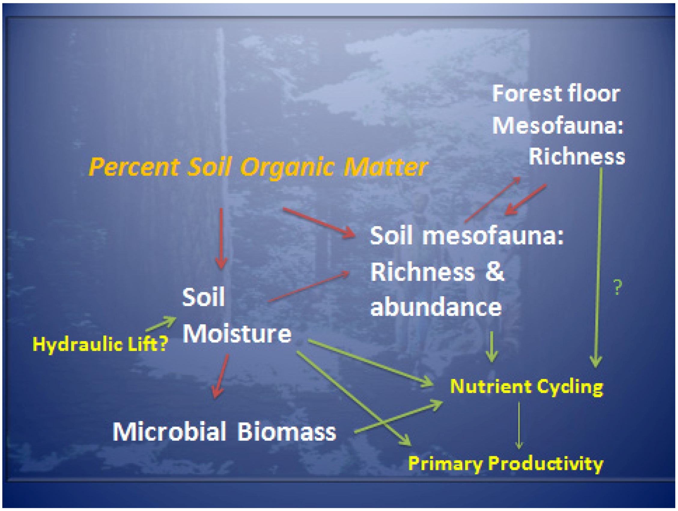 Diversity 04 00334 g011