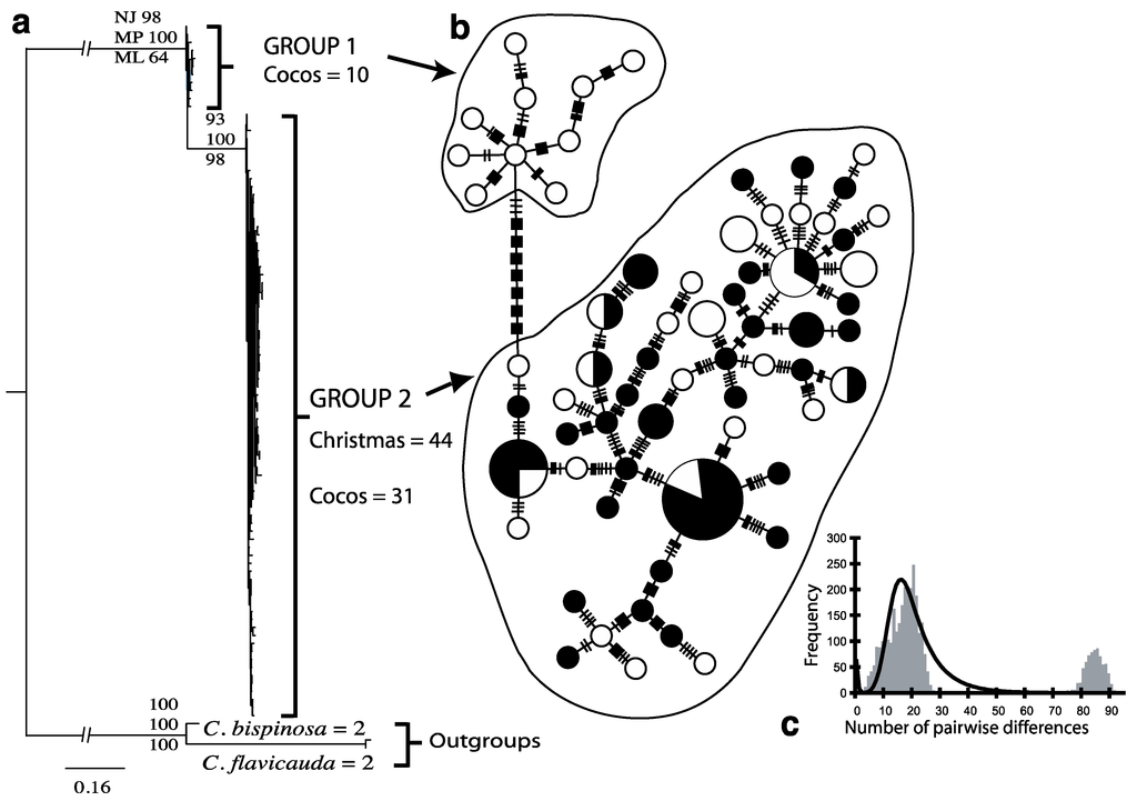 Diversity 05 00039 g001 1024