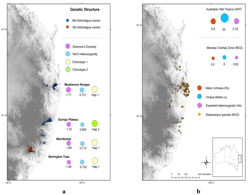 Diversity 05 00124 g003 1024