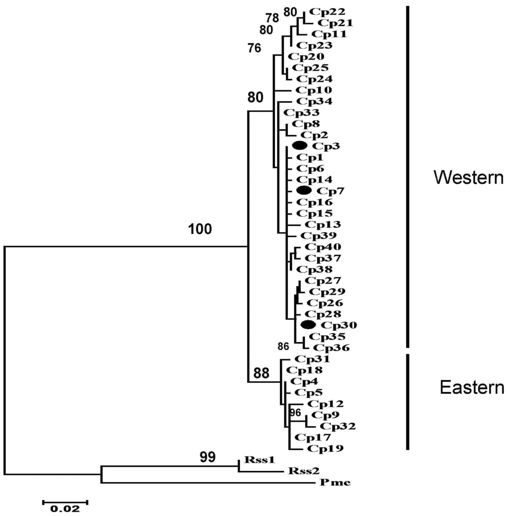 Diversity 05 00149 g001 1024