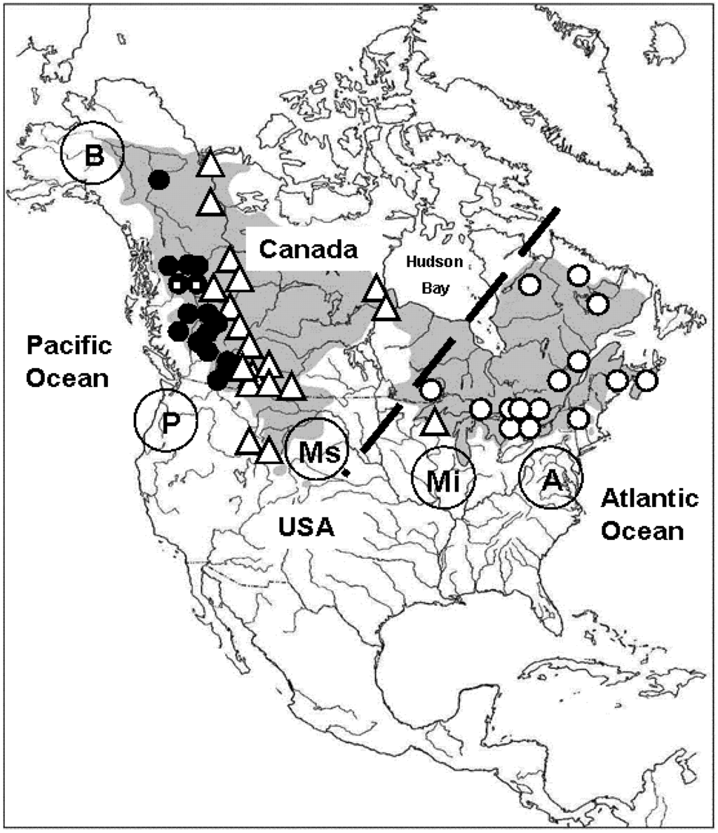 Diversity 05 00149 g002 1024