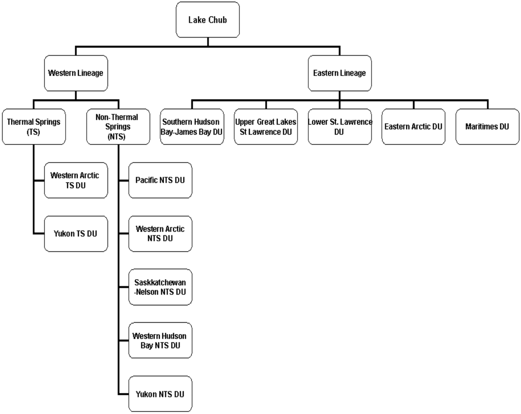 Diversity 05 00149 g003 1024