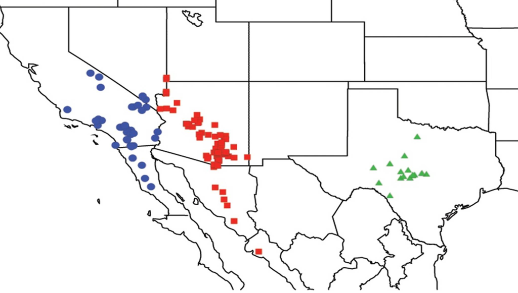 Diversity 05 00166 g002 1024