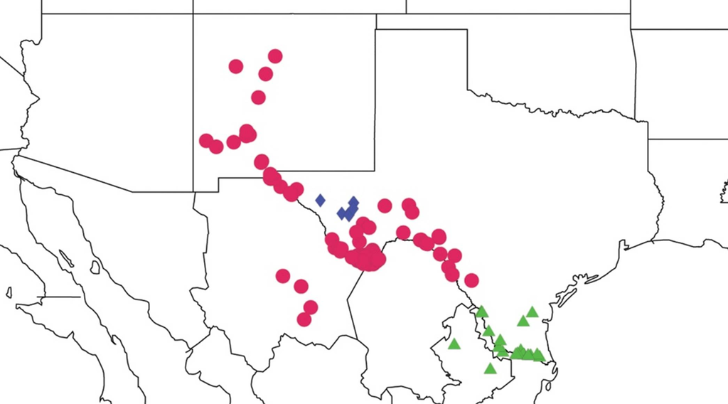 Diversity 05 00166 g003 1024