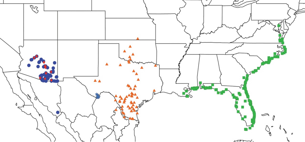 Diversity 05 00166 g004 1024