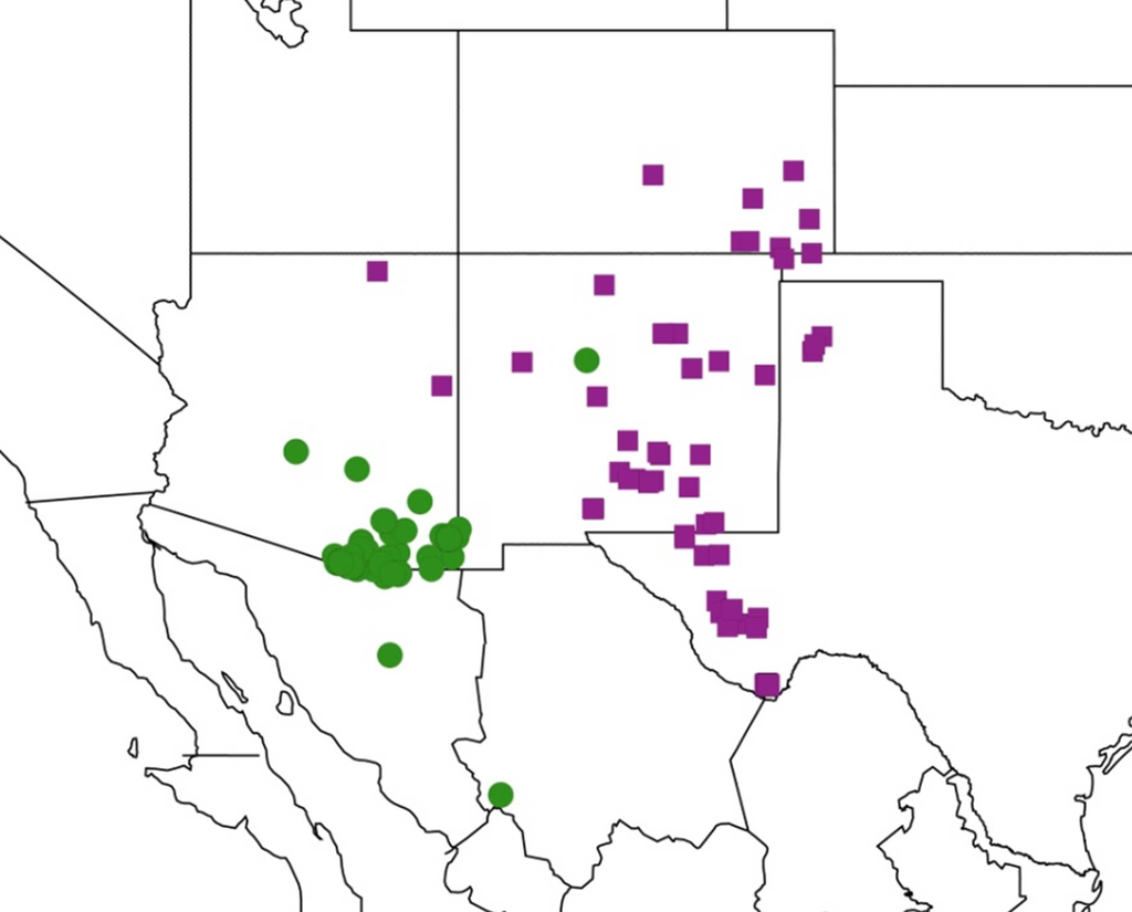 Diversity 05 00166 g020 1024