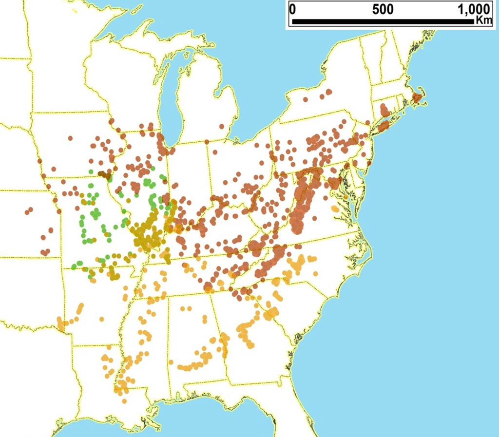 Diversity 05 00166 g032 1024