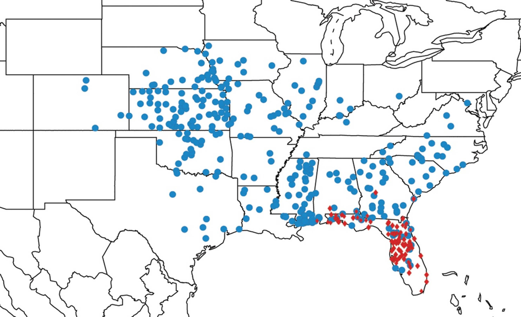 Diversity 05 00166 g033 1024