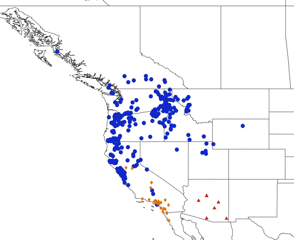 Diversity 05 00166 g037 1024