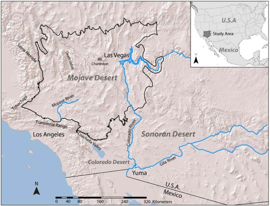 Diversity 05 00293 g001