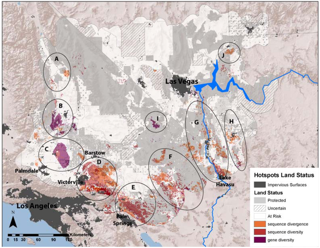 Diversity 05 00293 g003 1024