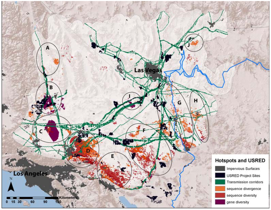 Diversity 05 00293 g004