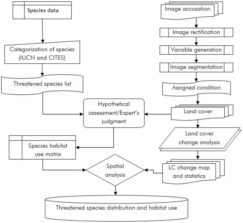 Diversity 05 00335 g002 1024