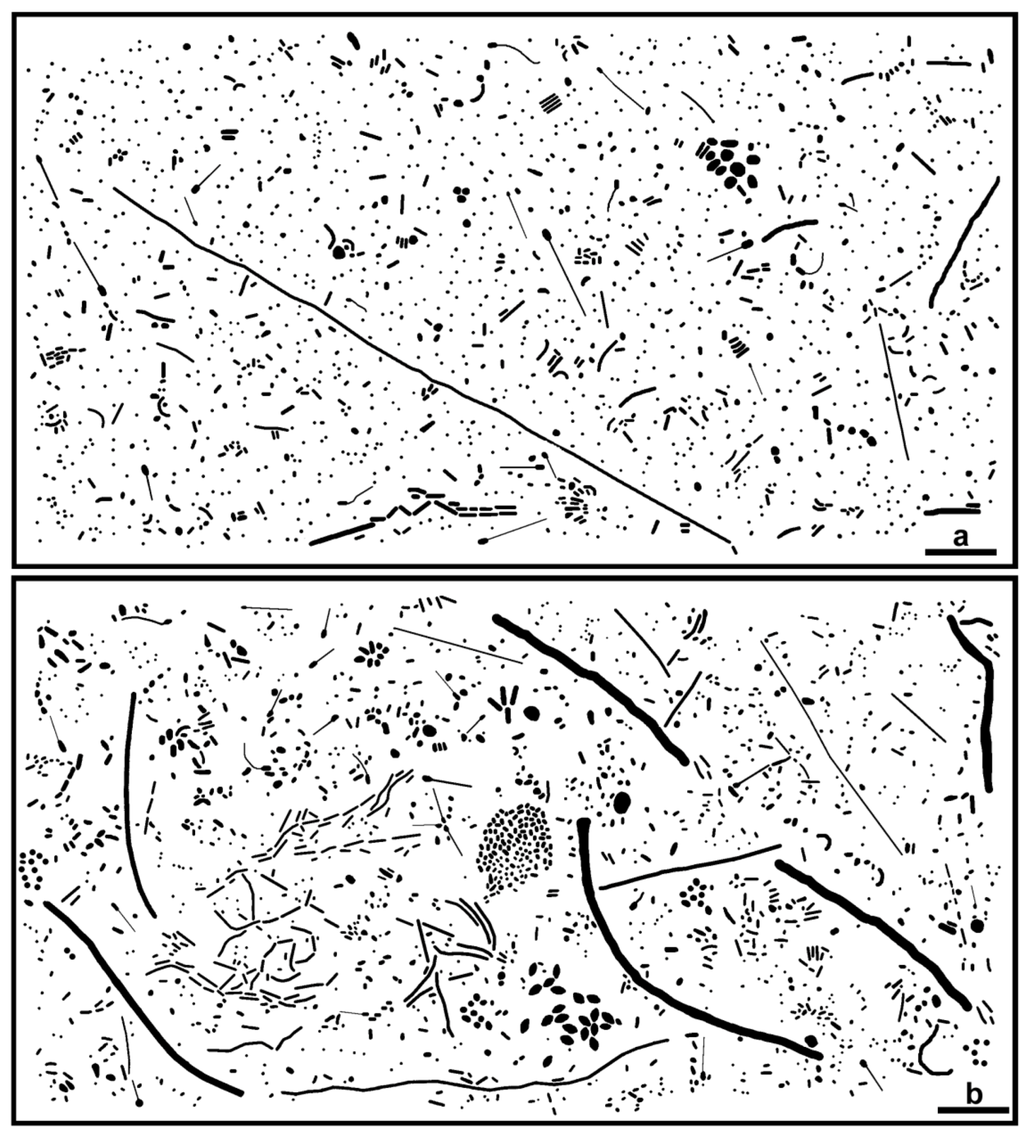 Diversity 05 00426 g001 1024