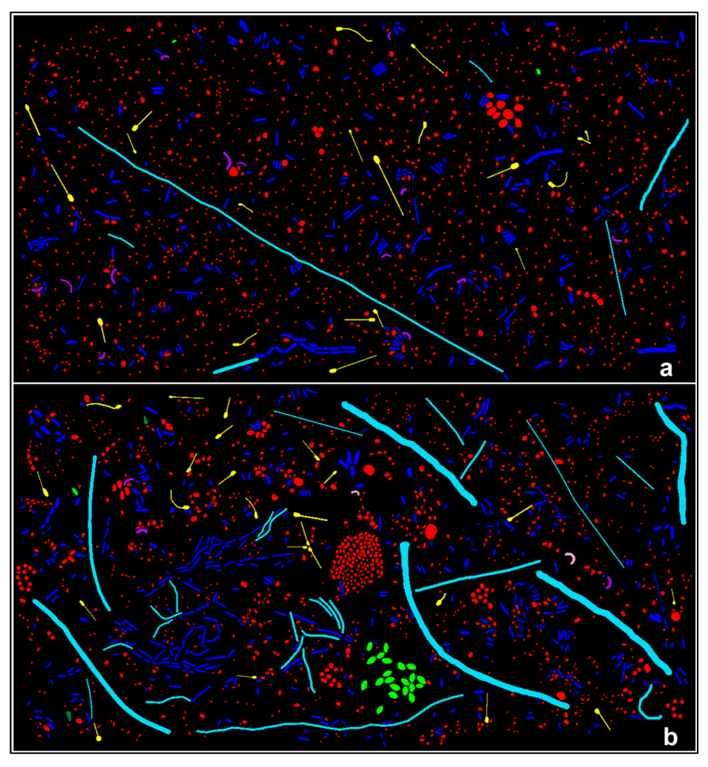 Diversity 05 00426 g002 1024