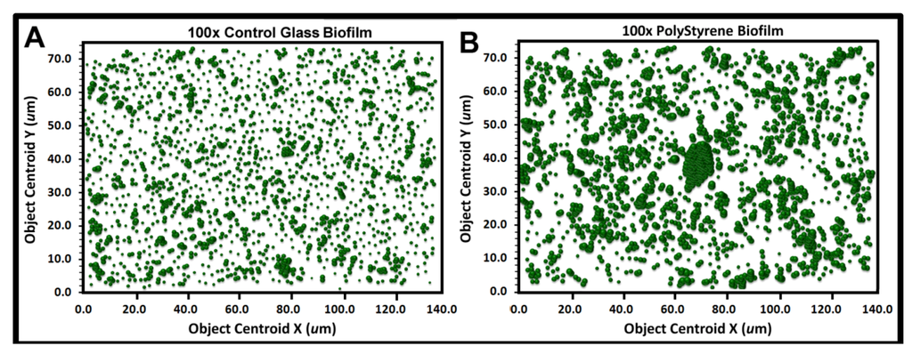 Diversity 05 00426 g009 1024