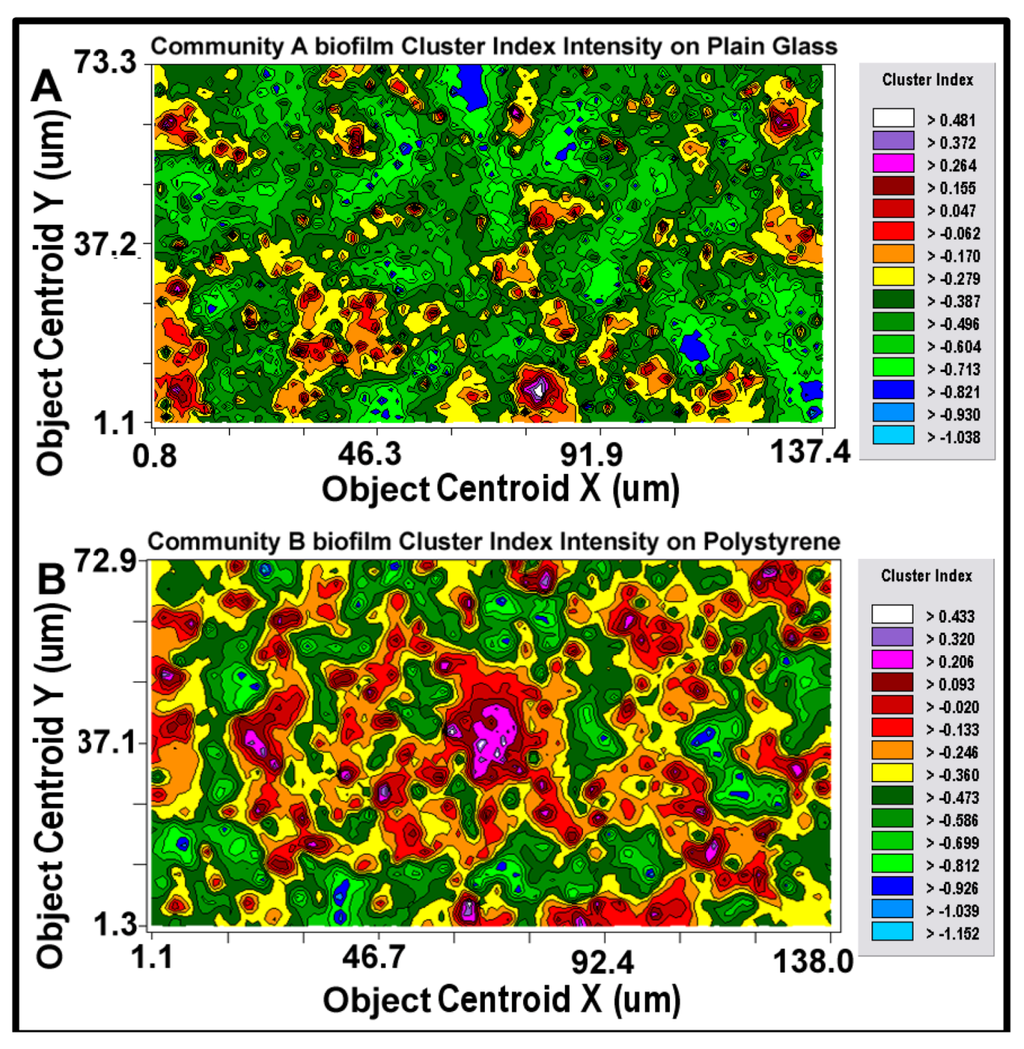 Diversity 05 00426 g011 1024