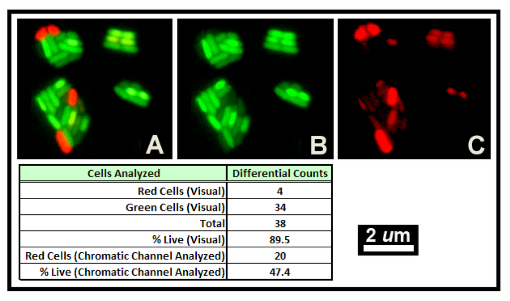 Diversity 05 00426 g012 1024