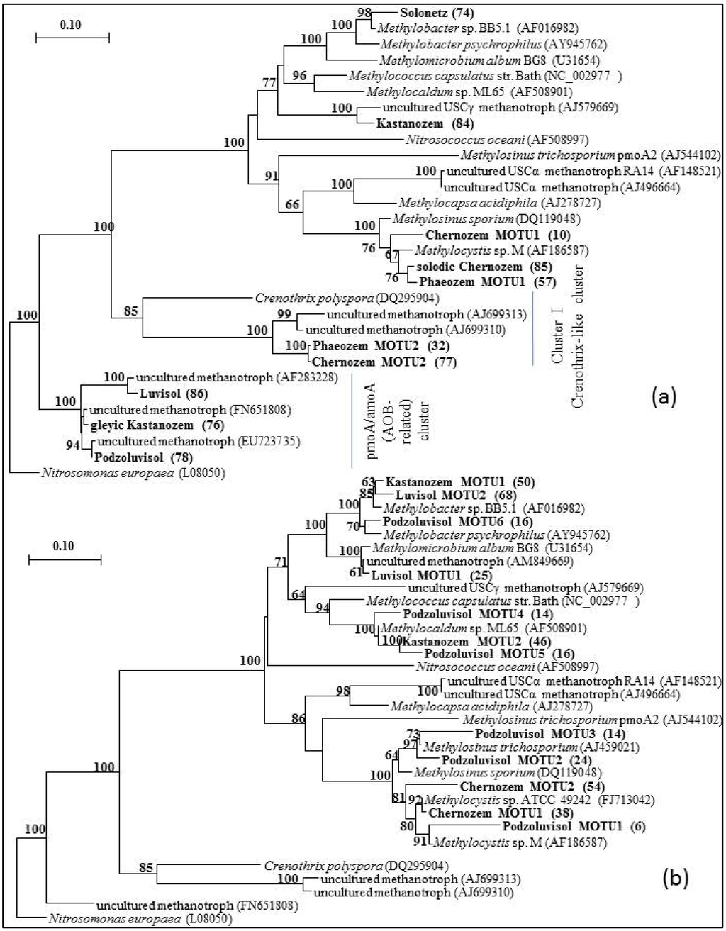 Diversity 05 00541 g002 1024