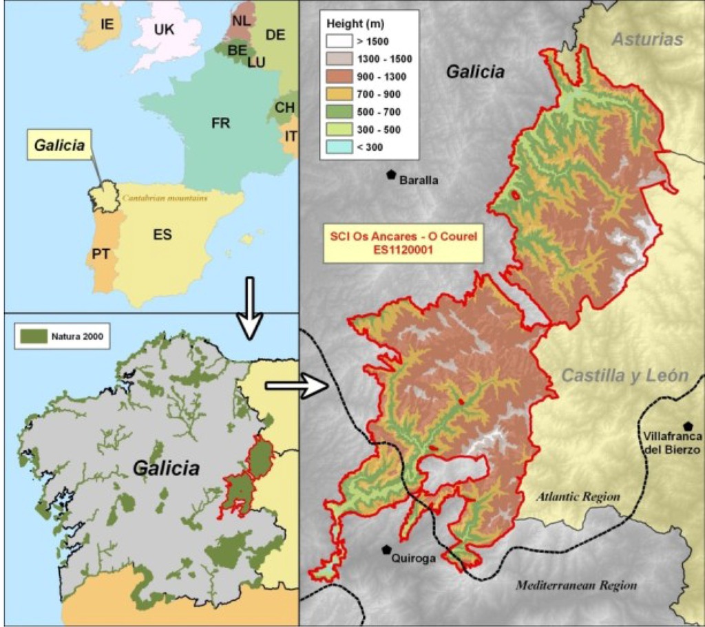 Diversity 05 00557 g002 1024