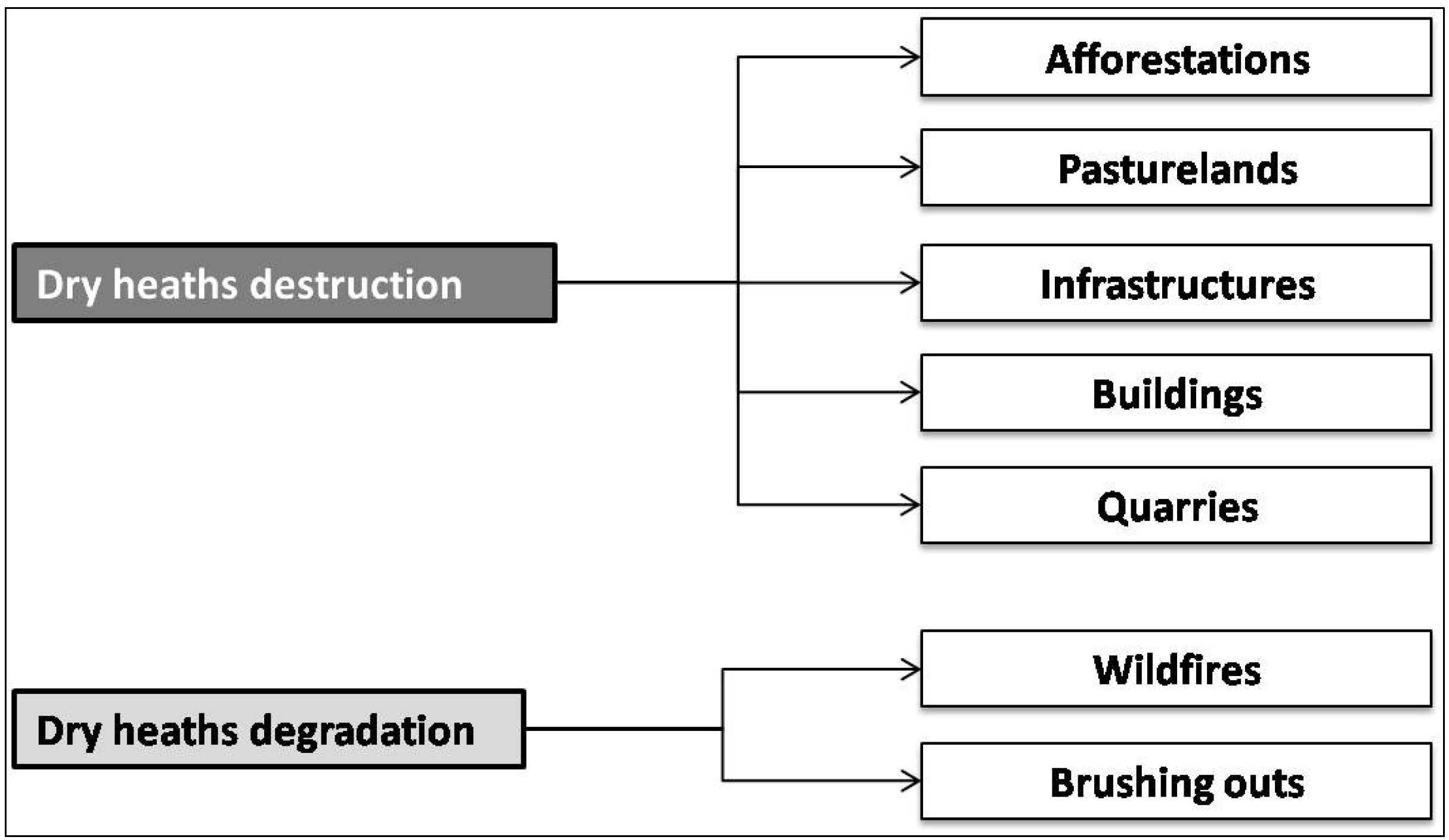 Diversity 05 00557 g003