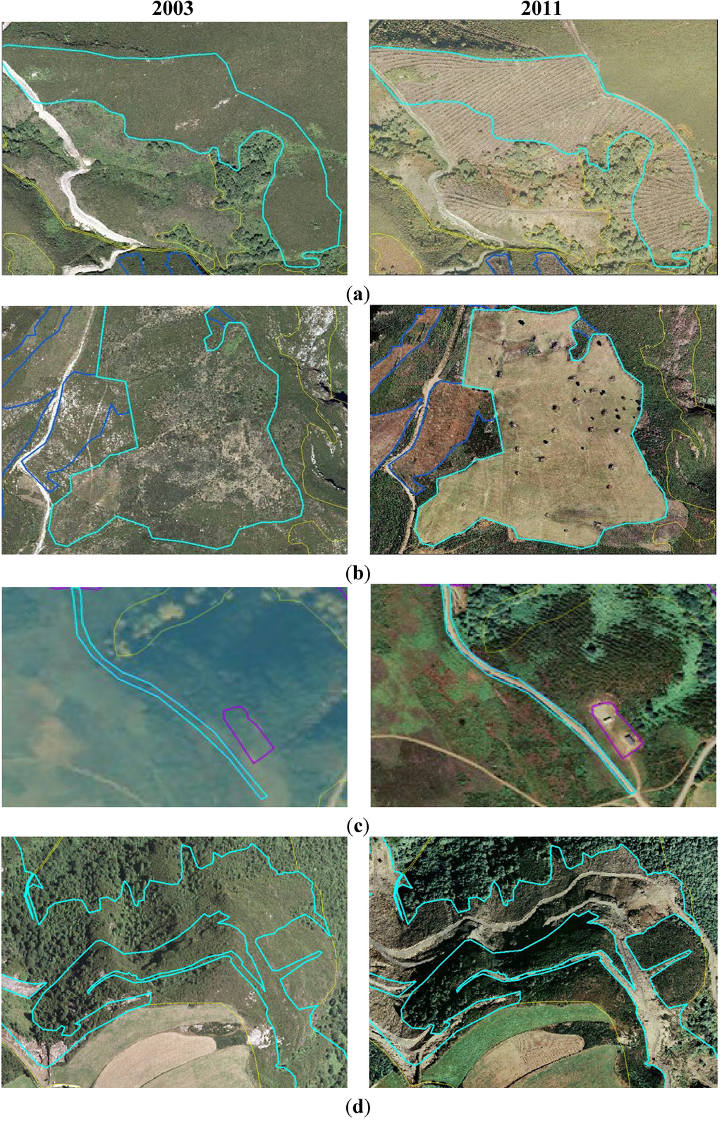 Diversity 05 00557 g004 1024