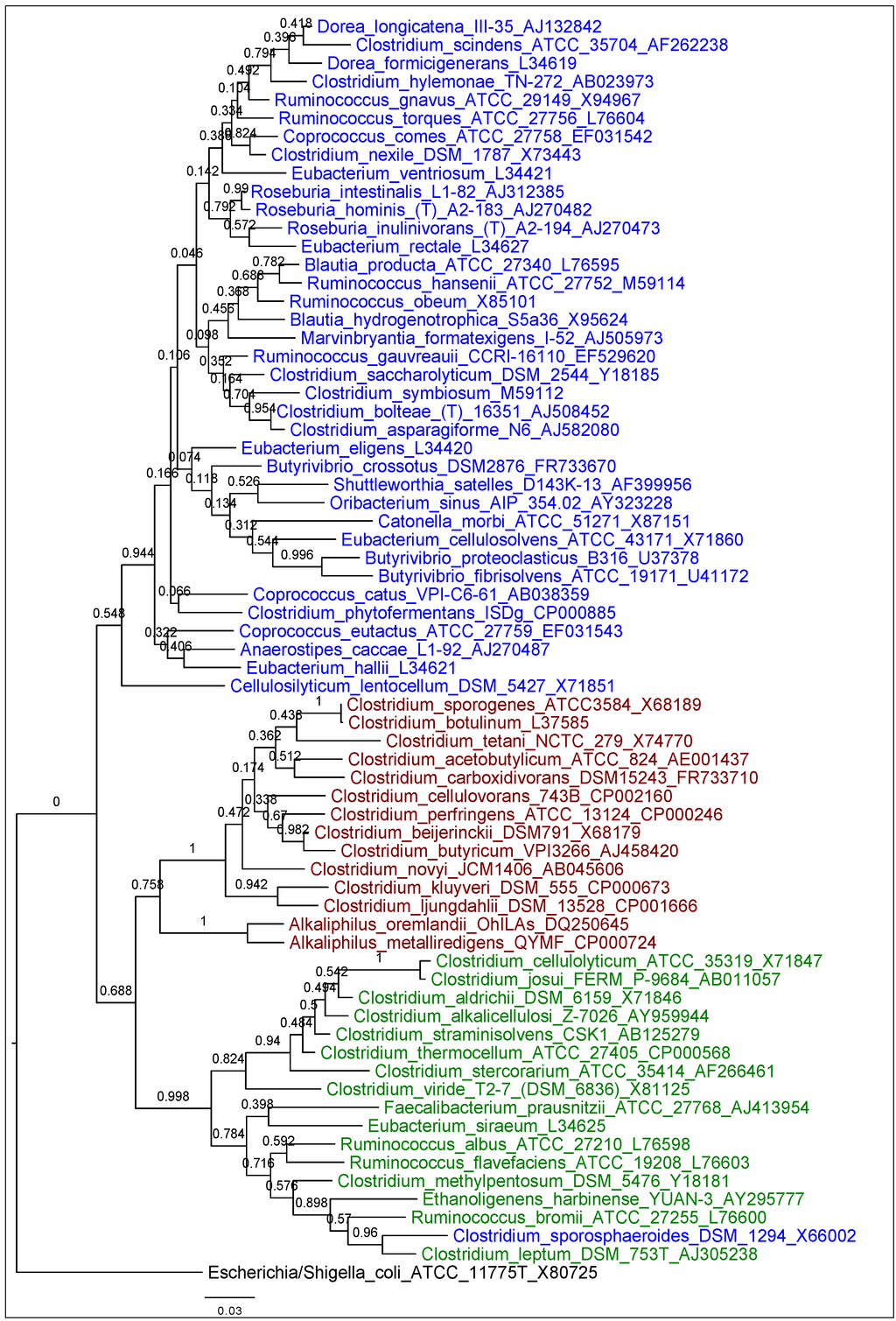 Diversity 05 00627 g001 1024