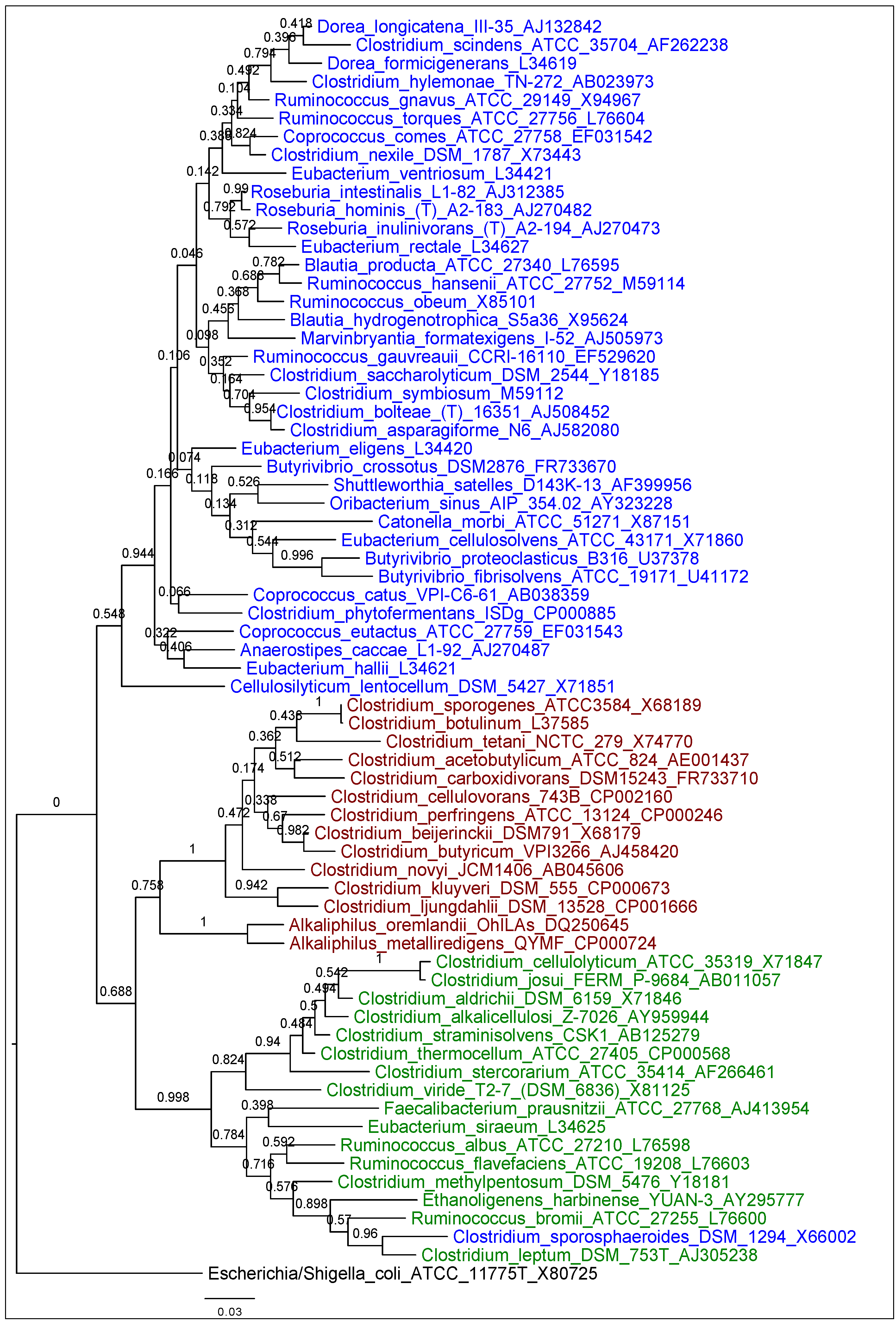 Diversity 05 00627 g001