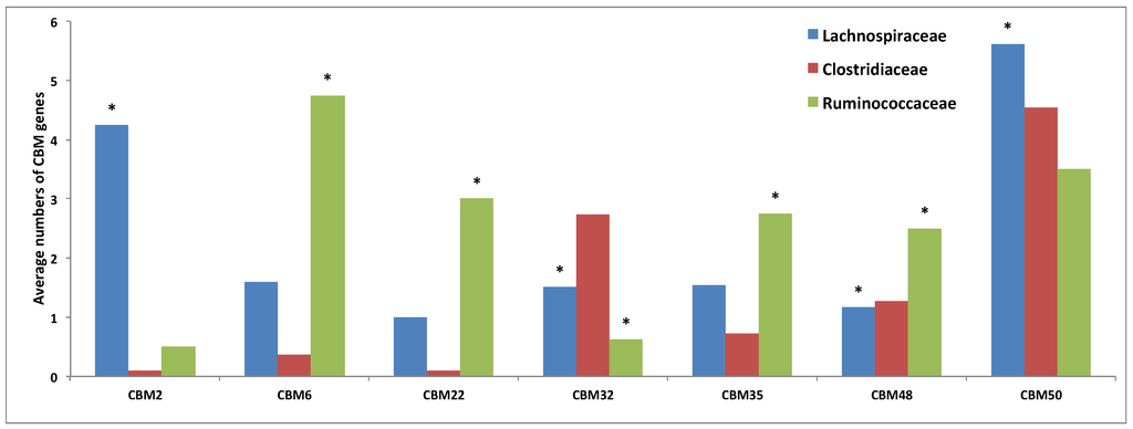 Diversity 05 00627 g006 1024