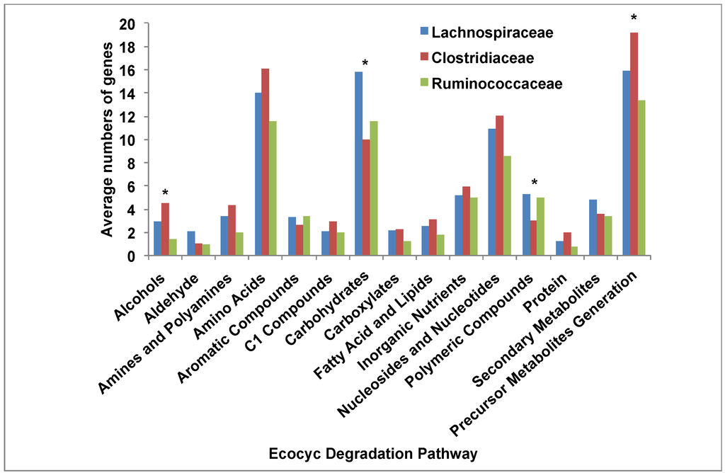 Diversity 05 00627 g009 1024